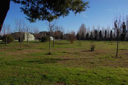 Parco-Annunziata