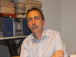 berdini1